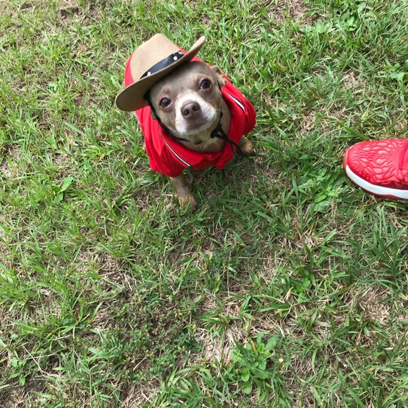 🐶3-21 COMMENTS FULL PLZ UNLIKE & LIKE THE NEW🙏 - Picture 16 of 16